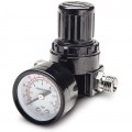 Titan 19303 Locking Air Regulator and Gauge, 0 to 180 psi, 1/4&amp;quot;-