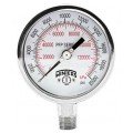 Winters PFP664 Premium Stainless-Steel Liquid Filled Pressure Gauge, 0/1,000 psi/kPa, 0.5&amp;quot; back (LB)-