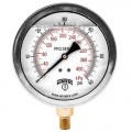Winters PFQ Series Stainless Steel Liquid Filled Gauges-
