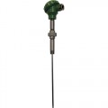 Winters TER11100 Industrial RTD Temperature Probe, 4&quot; sensor, galvanized carbon steel extension-