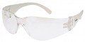 Zenith FL250T2-ANTI FOG Series Eyewear-